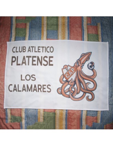 756458-MLA48734578204_012022,Bandera Platense - Calamar Grande - Volvimos - 1°a -platense