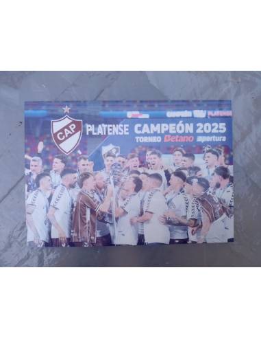 Cuadro A4 - Platense Campeon - Madera